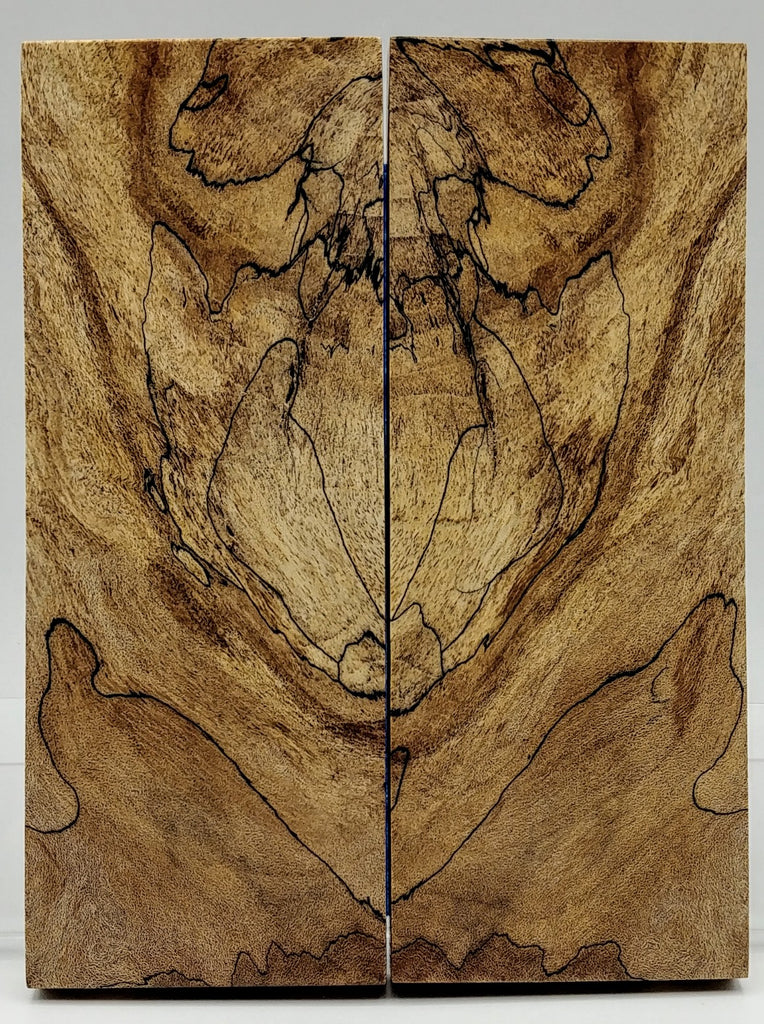 Maple--Spalted