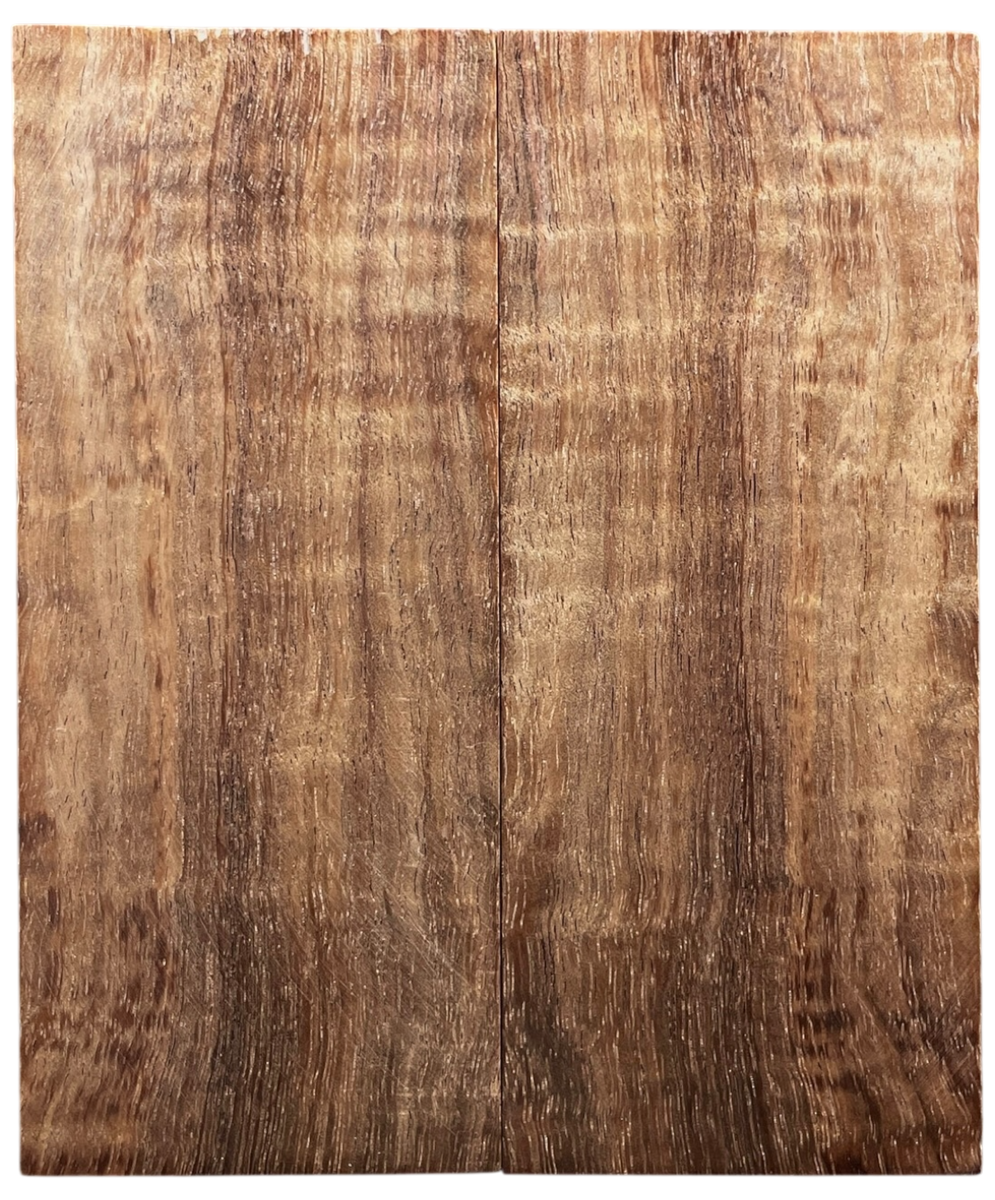 Australian Blackwood (2