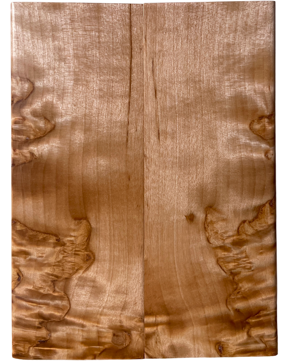 Arctic Curly (Masur) Birch (2