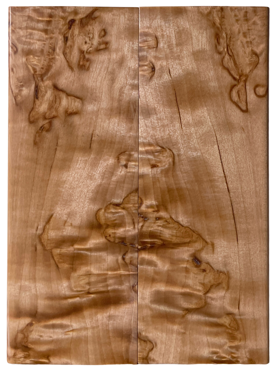 Arctic Curly (Masur) Birch (1.75