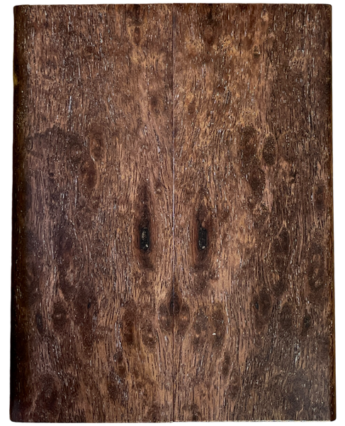 Australian Blackwood (1.75