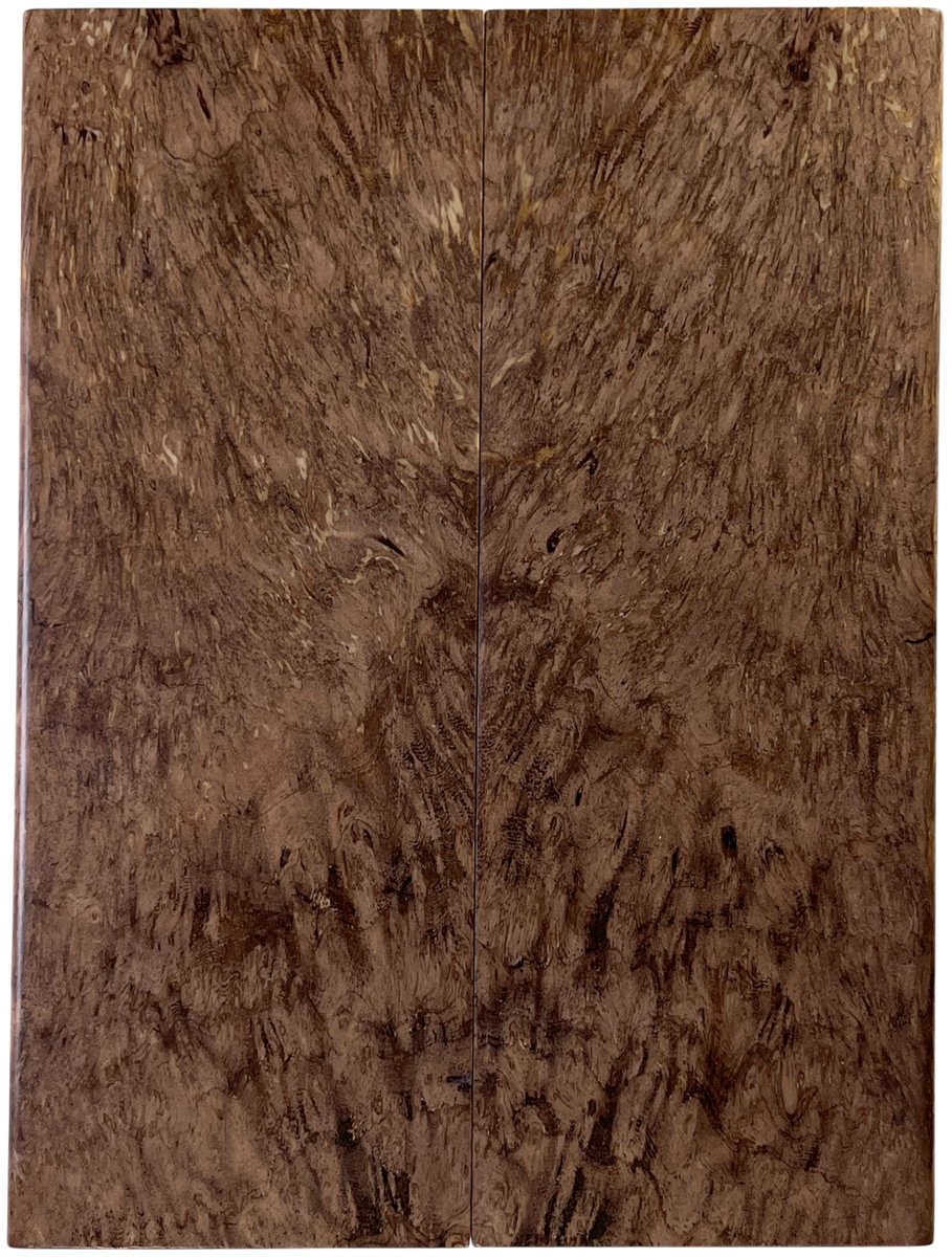 Asian Satinwood Burl (1.625