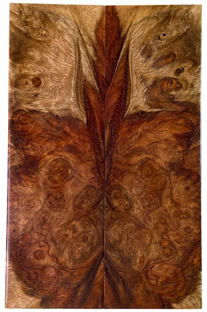Amboyna (1.875" x 5.75" x 5/16")