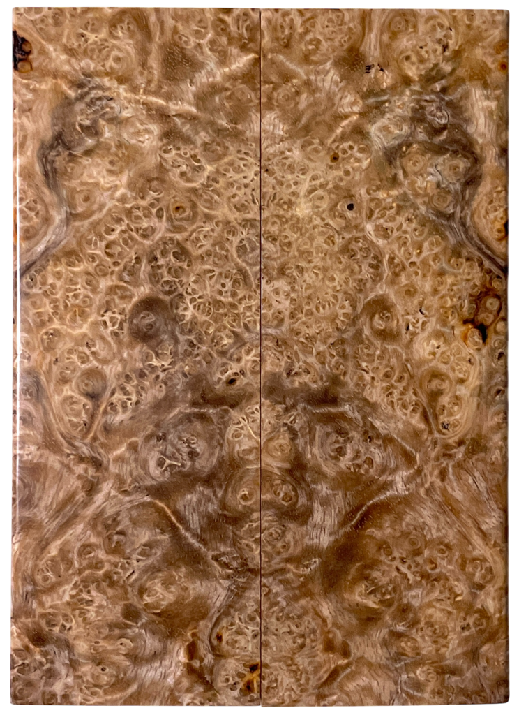 Amboyna (1.75" x 4.875" x 3/8")