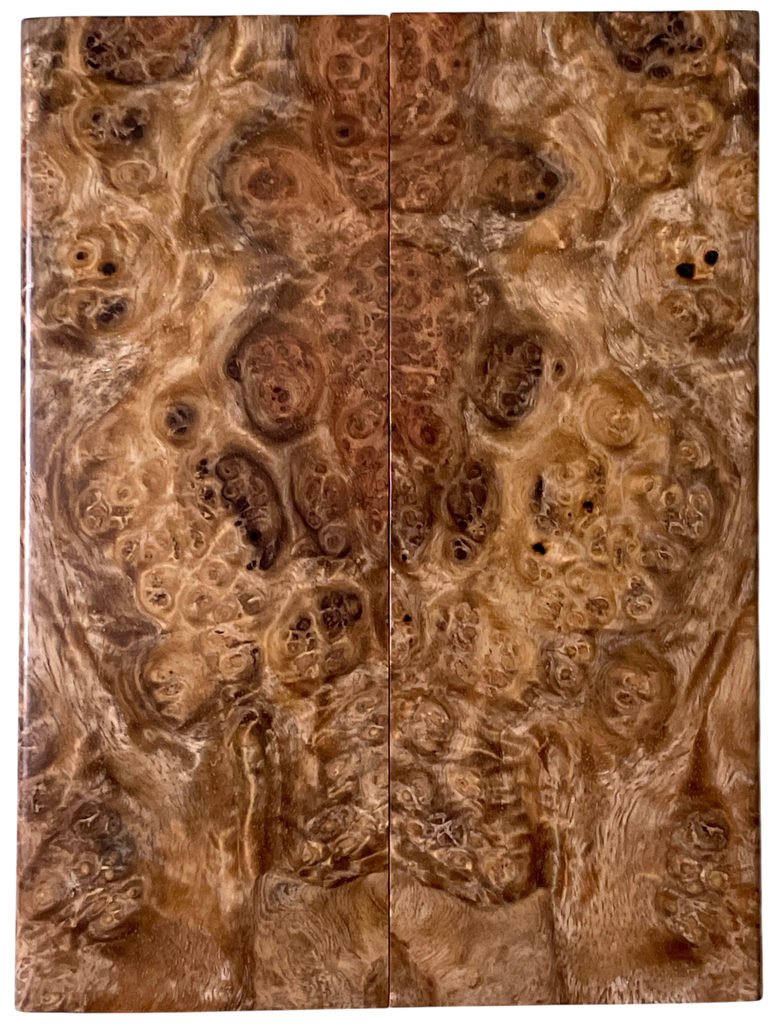 Amboyna (1.75" x 4.875" x 5/16")