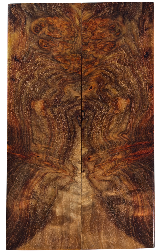 Amboyna (1.75" x 5.875" x 5/16")