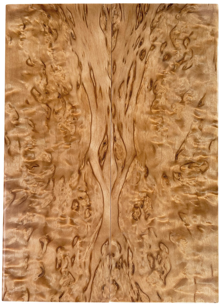 Arctic Curly (Masur) Birch (1.875" x 5.25" x 3/8")