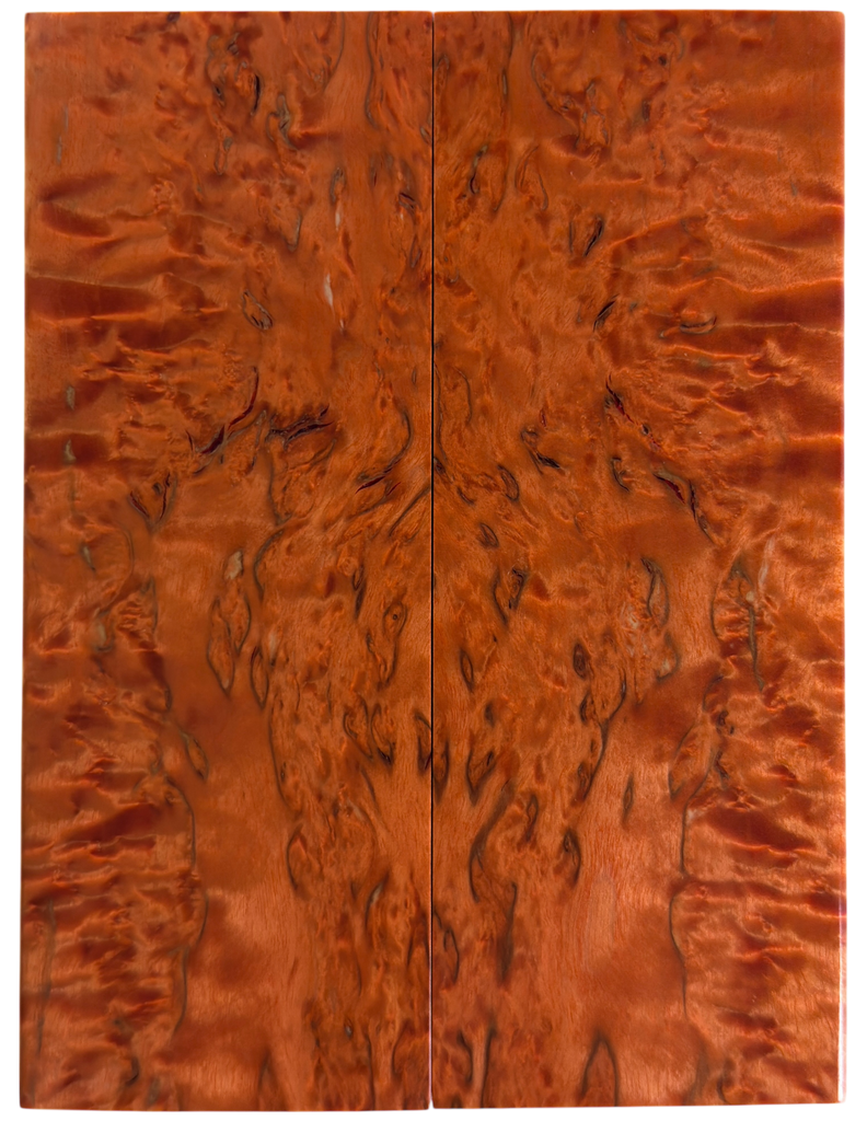 Arctic Curly (Masur) Birch (2" x 5.125" x 1/4")