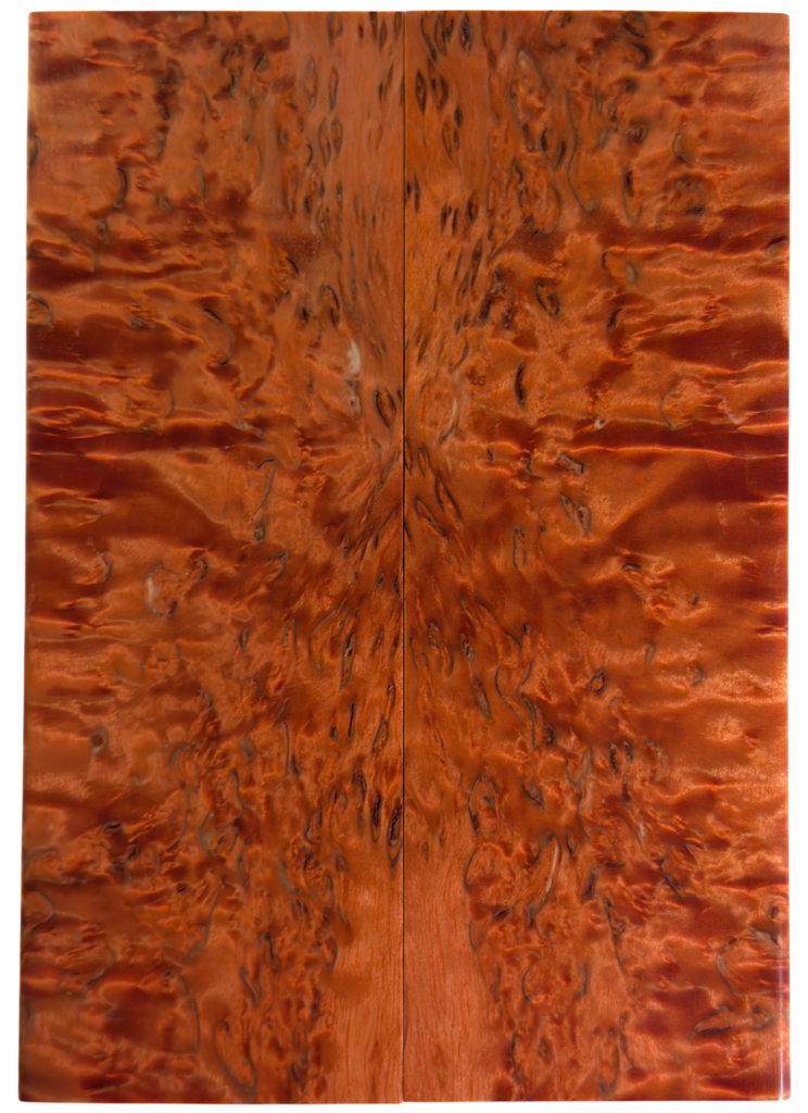 Arctic Curly (Masur) Birch (1.75" x 5.125" x 5/16")