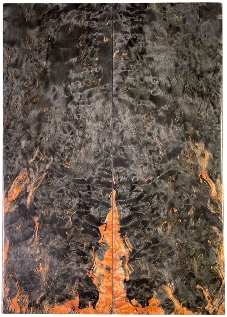 Arctic Curly (Masur) Birch (1.875" x 5" x 5/16")