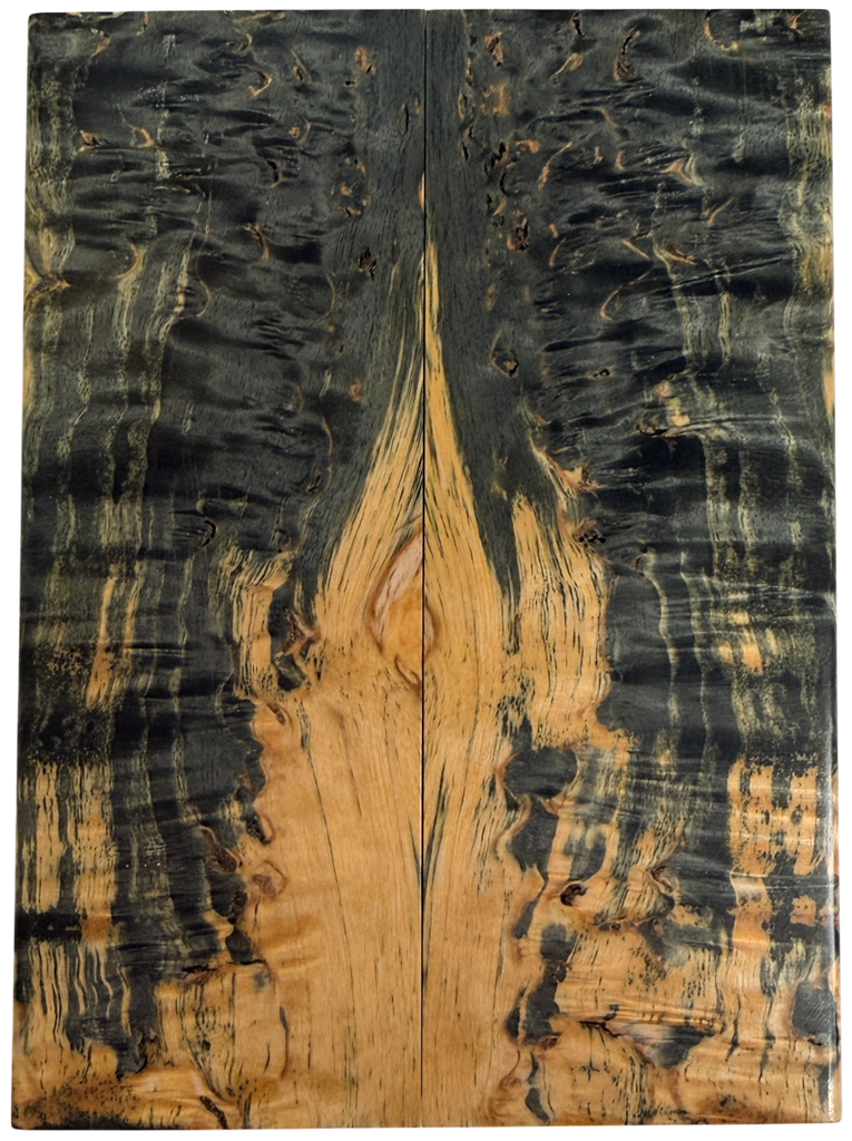 Arctic Curly (Masur) Birch (1.875" x 5.125" x 5/16")