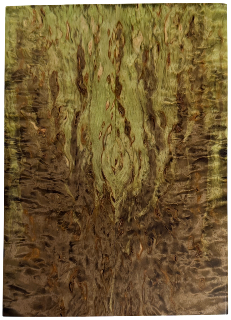 Arctic Curly (Masur) Birch (1.75" x 5.125" x 5/16")