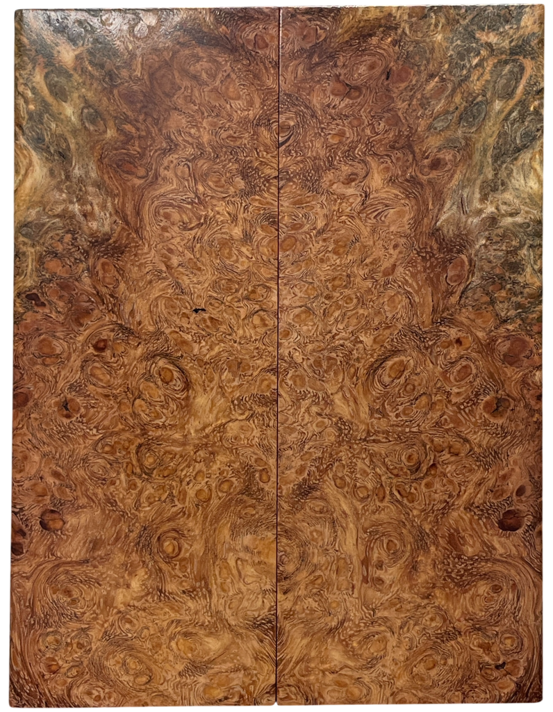 Afzelia Burl (1.875" x 4.875" x 5/16")