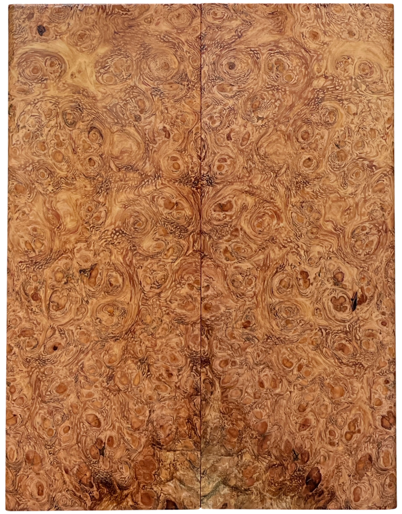 Afzelia Burl (2" x 5" x 5/16")