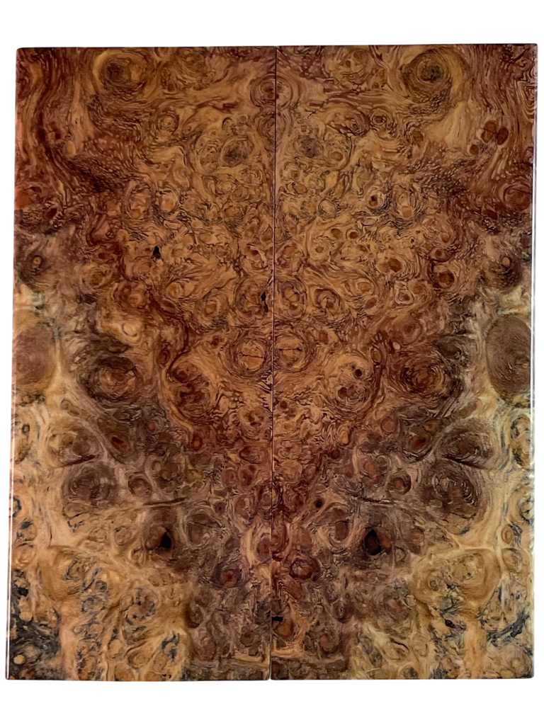 Afzelia Burl (1.875" x 4.625" x 5/16")