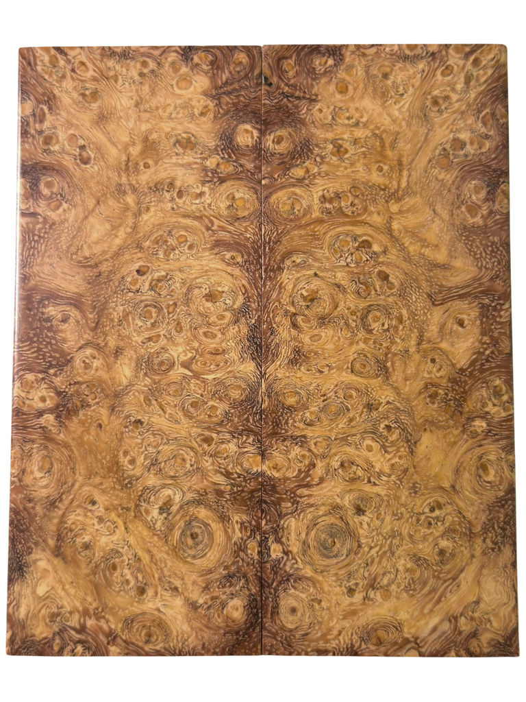 Arctic Curly (Masur) Birch (1.75