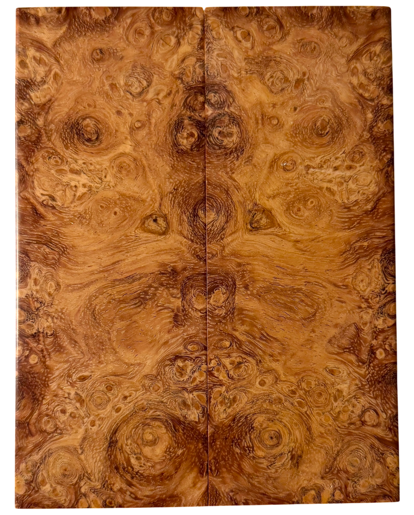 Y1170 GN8-300 Satin NA Burl アウトレット Asian Satinwood Burl (1.625