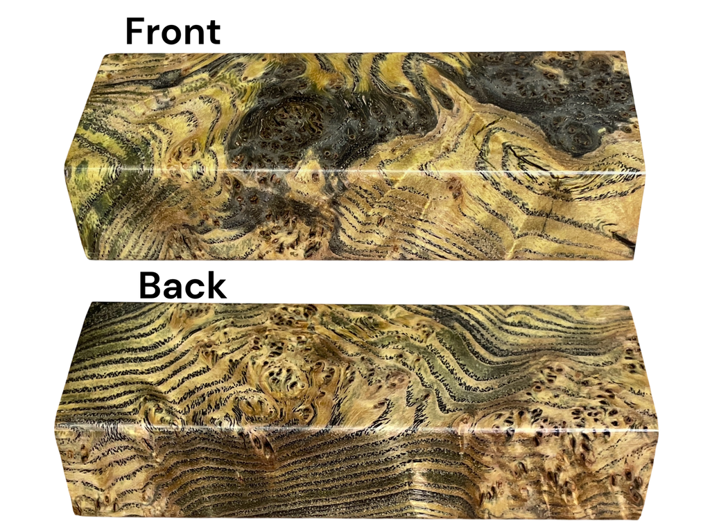 Black Ash Burl (3/4" x 1.375" x 3.375")