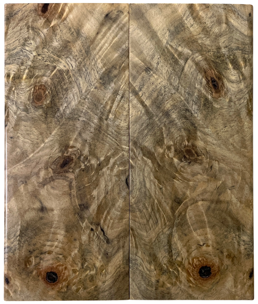 Buckeye Burl (2" x 4.75" x 5/16")