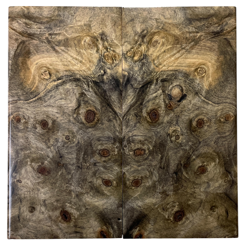 Buckeye Burl (2.375" x 4.875" x 5/16")