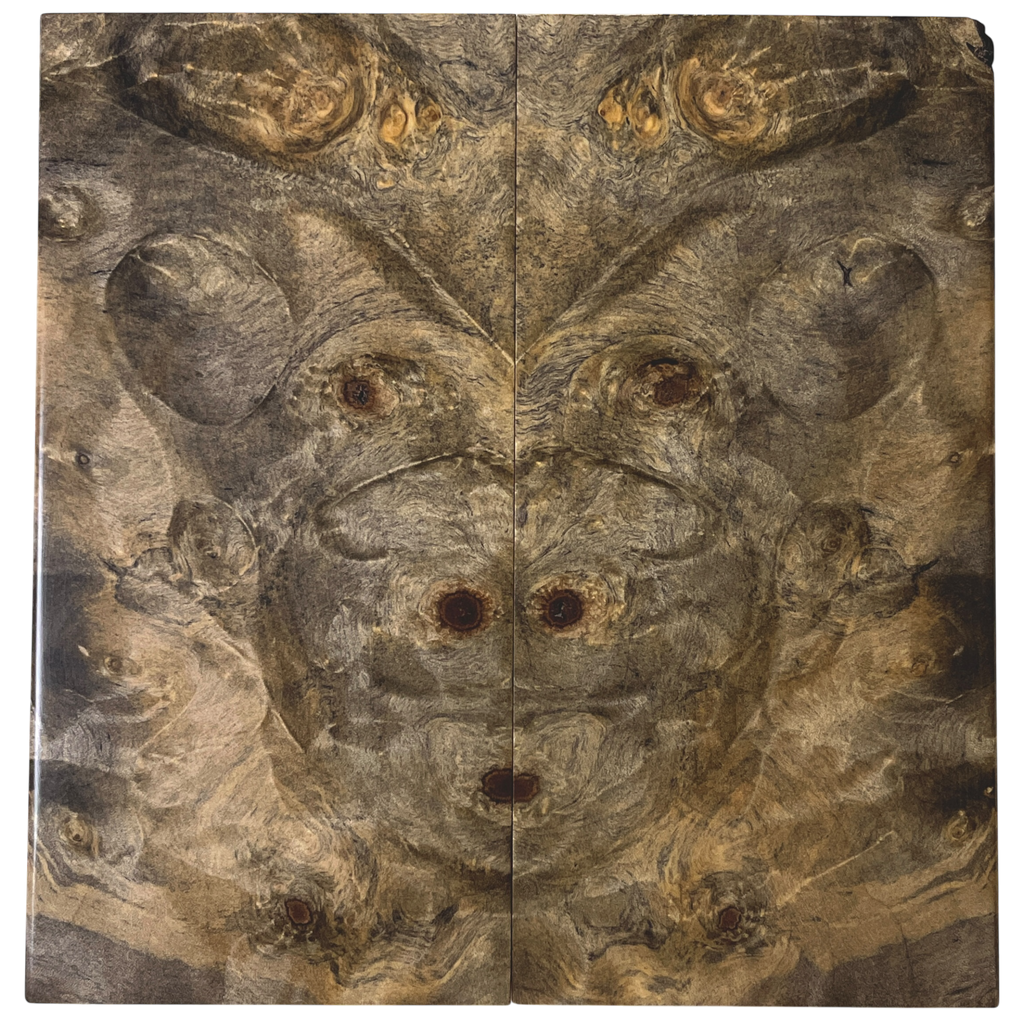 Buckeye Burl (2.375" x 4.875" x 5/16")