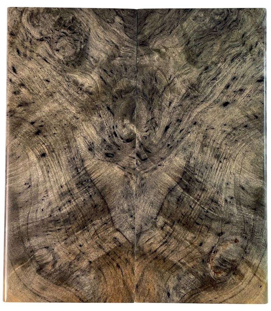 Buckeye Burl (2.25" x 5" x 5/16")