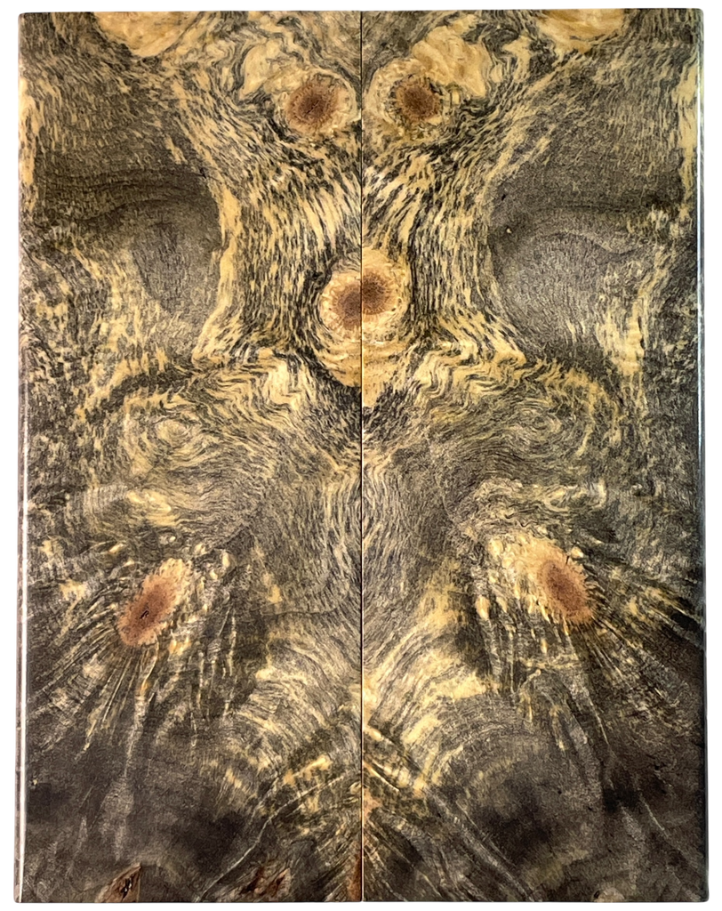 Buckeye Burl (2" x 5" x 5/16")