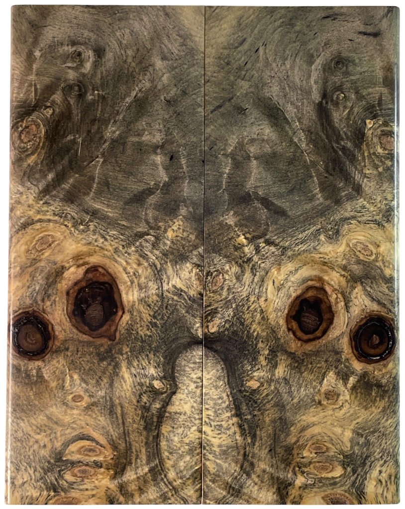 Buckeye Burl (1.875" x 4.875" x 5/16")
