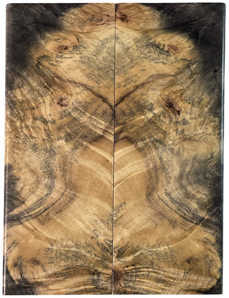 Buckeye Burl (1.875" x 4.875" x 5/16")