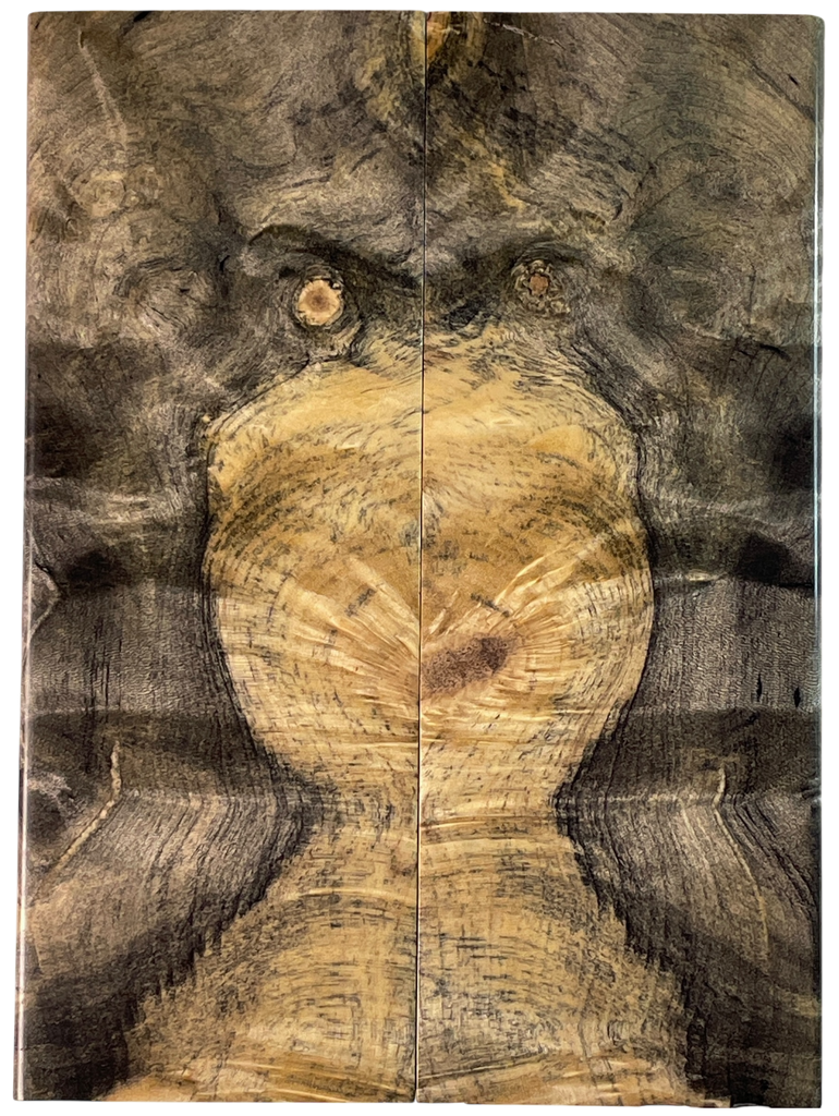 Buckeye Burl (1.875" x 5" x 5/16")