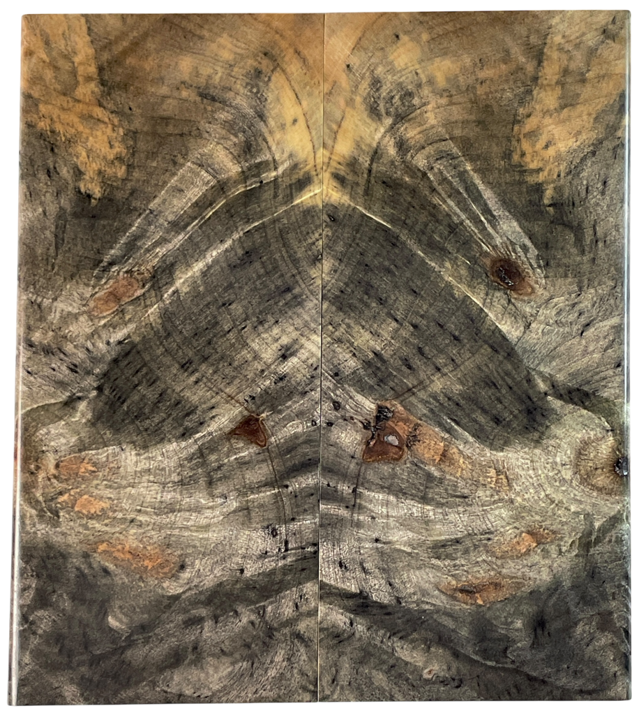 Buckeye Burl (2.125" x 4.75" x 5/16")
