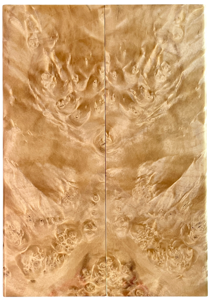 Box Elder (1.625" x 4.75" x 5/16")