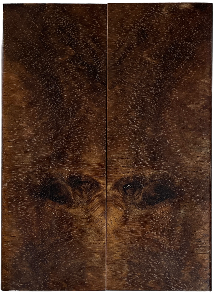 Tasmanian Blackwood (1.75" x 4.75" x 5/16")