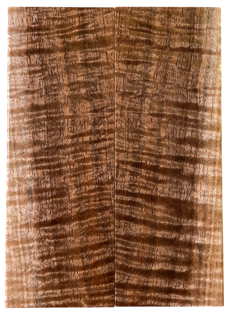 Tasmanian Blackwood (1.75" x 5" x 3/8")