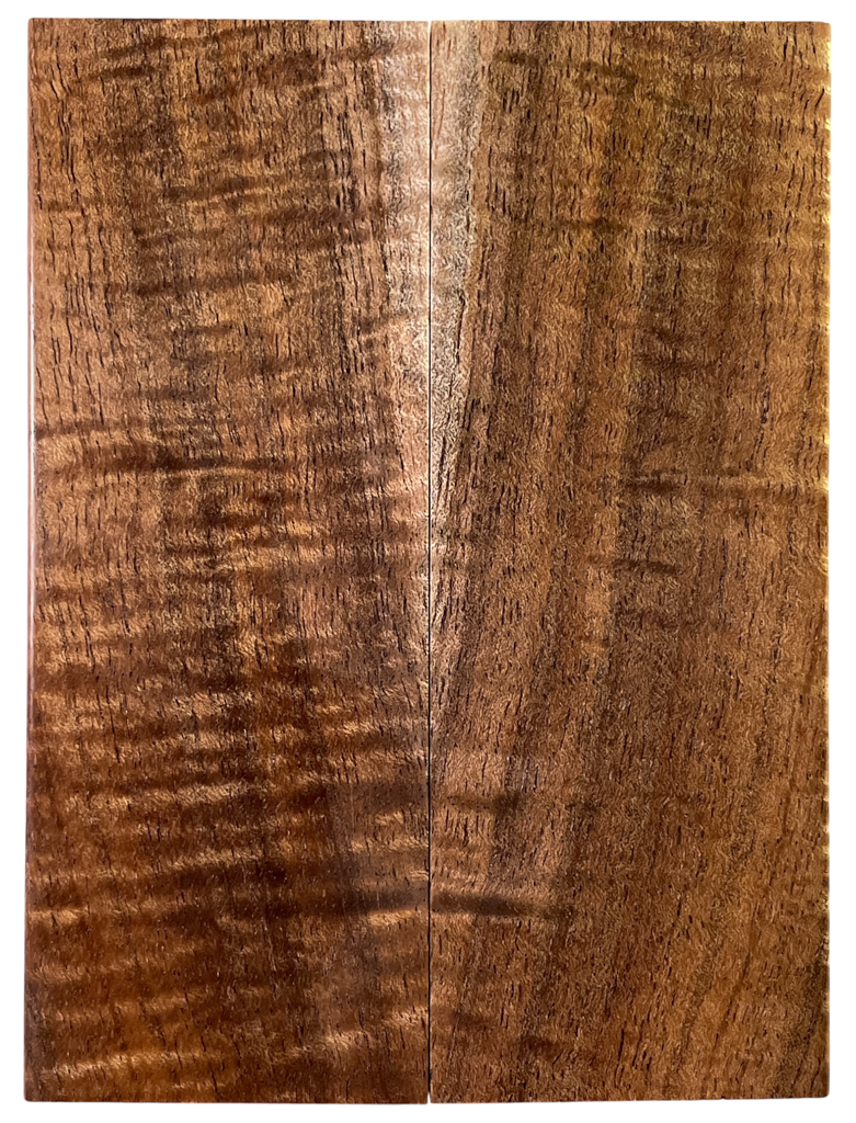 Tasmanian Blackwood (1.75" x 5" x 5/16")