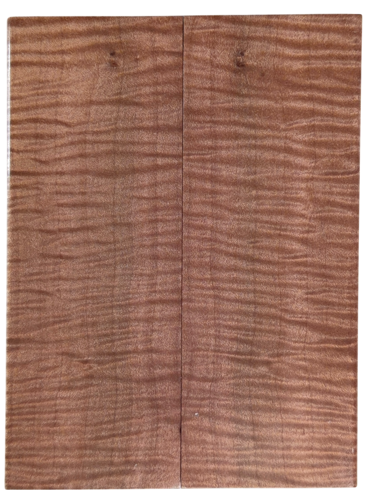 Curly Maple (1.75" x 4.875" x 3/8")