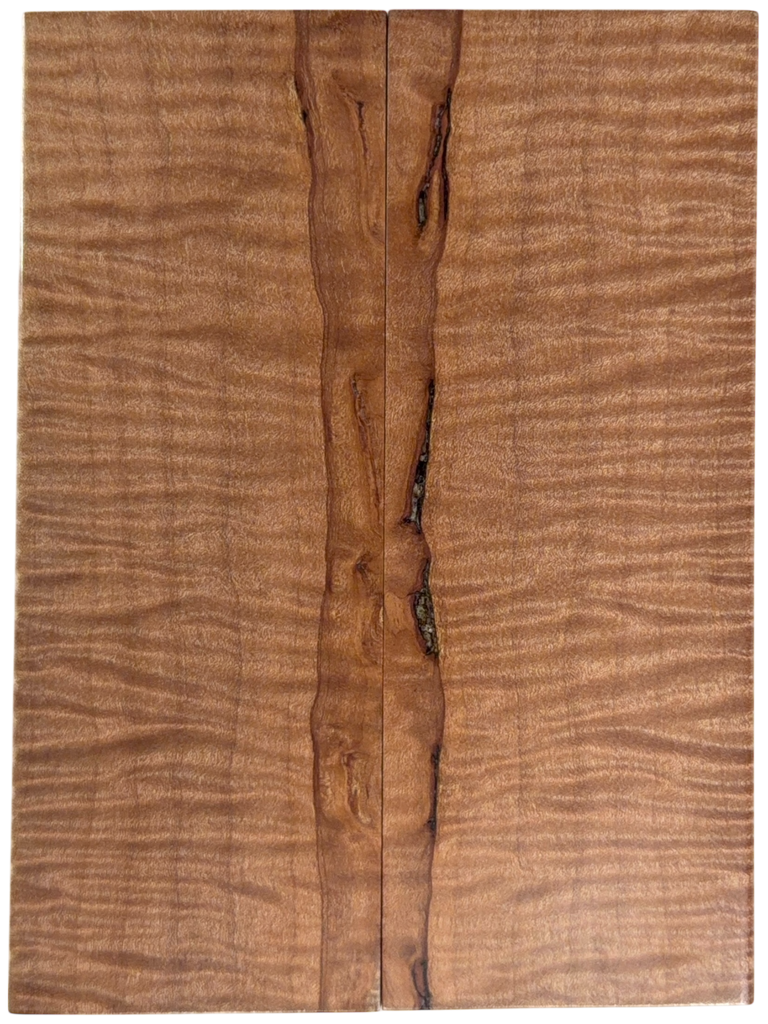 Curly Maple (1.875" x 4.75" x 5/16")