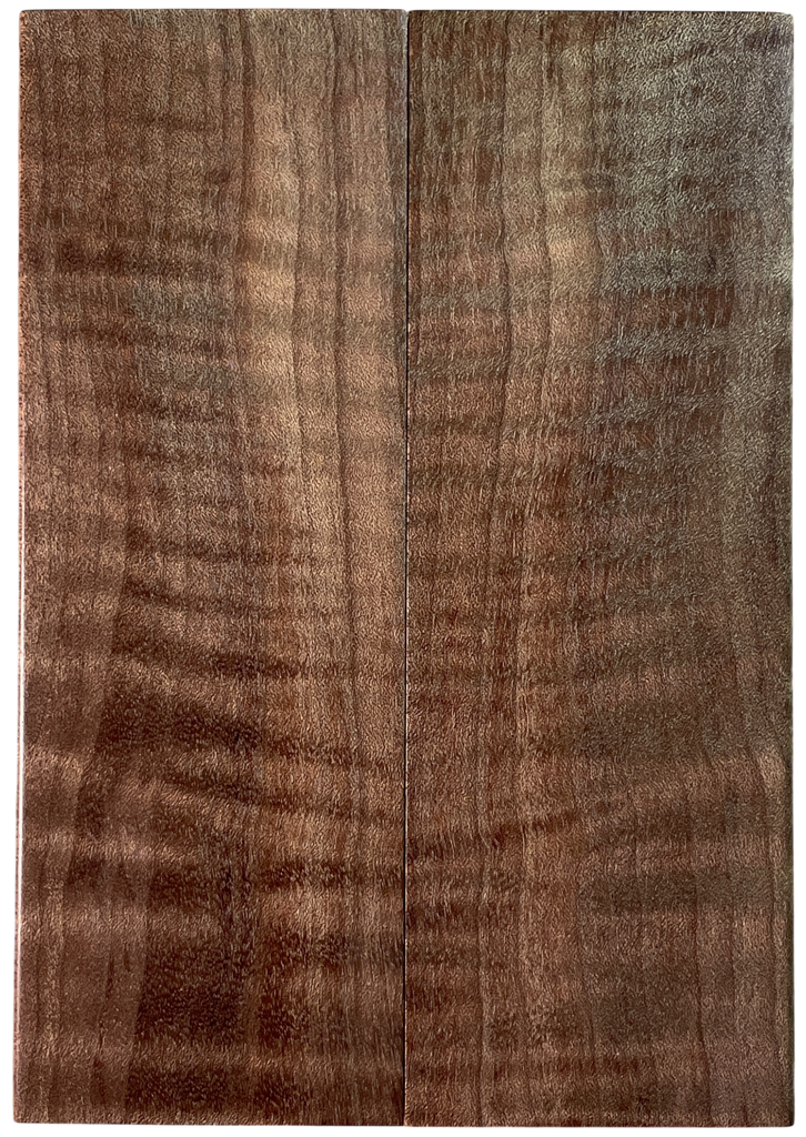 Curly Maple (1.75" x 4.875" x 3/8")