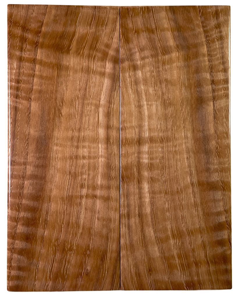 Hickory (2" x 4.875" x 3/8")