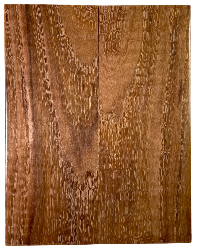 Hickory (2" x 4.875" x 3/8")