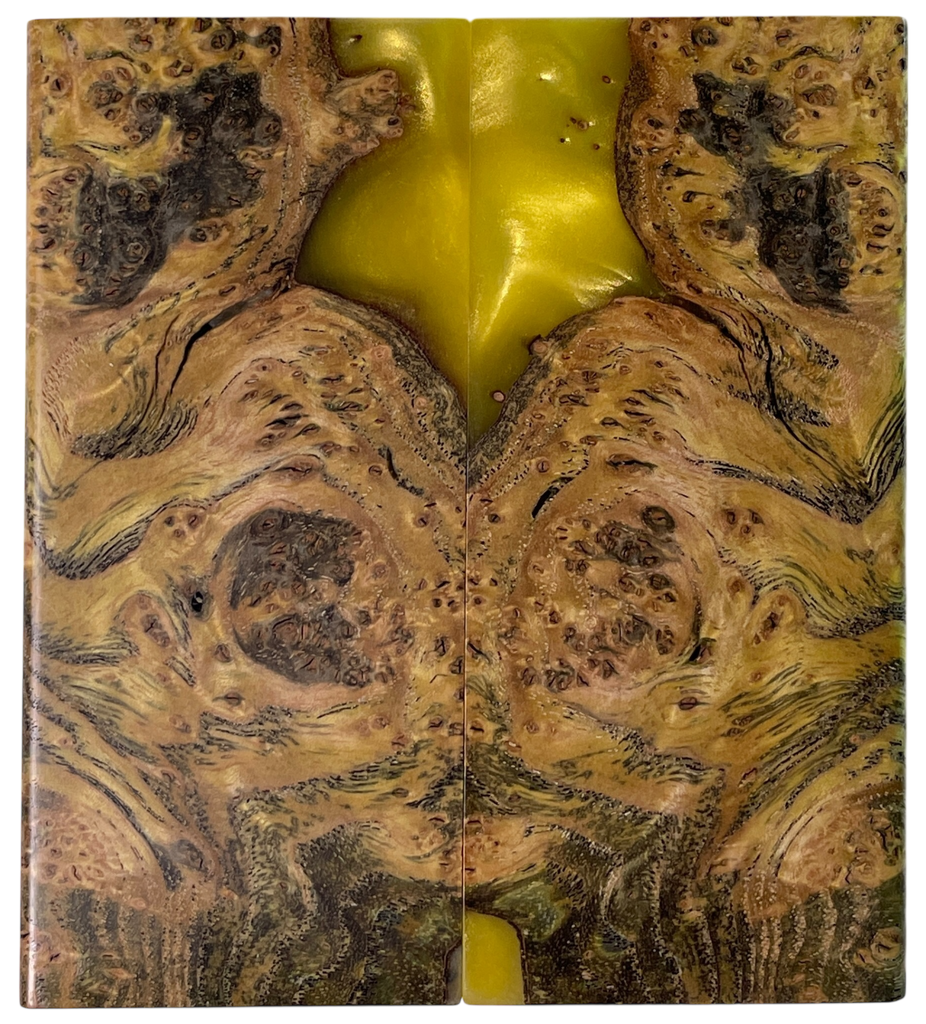 Black Ash Burl Hybrid (1.625" x 3.625" x 3/8")