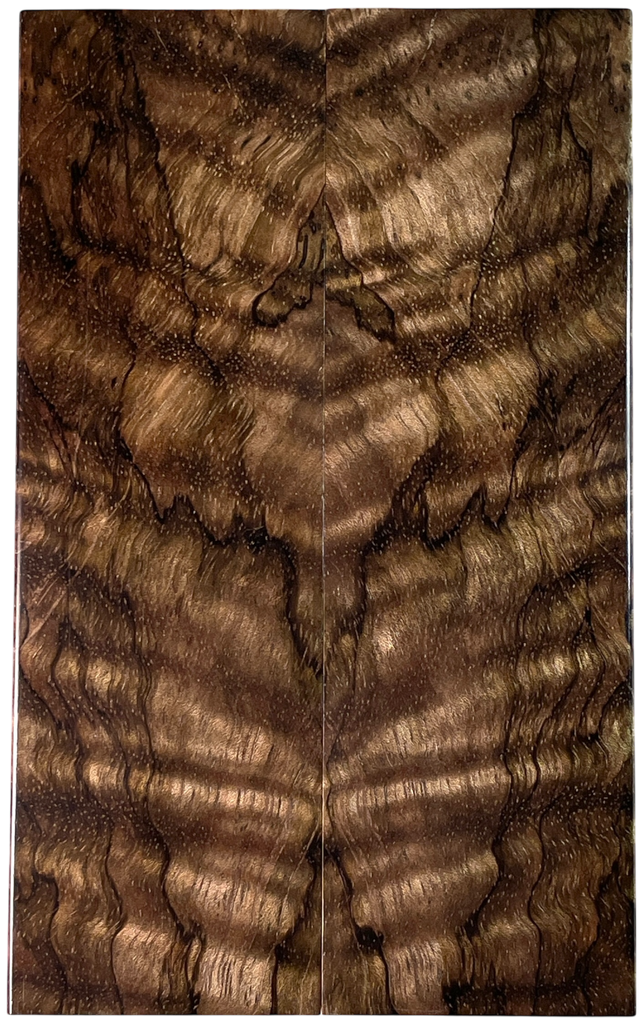 Curly Mango (1.875" x 6" x 5/16")