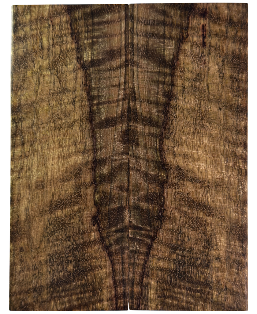 Curly Mango (2" x 5" x 1/4")