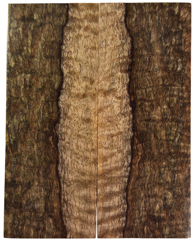 Curly Mango (2" x 4.875" x 3/8")