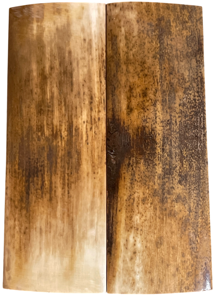 Mammoth Ivory Scales