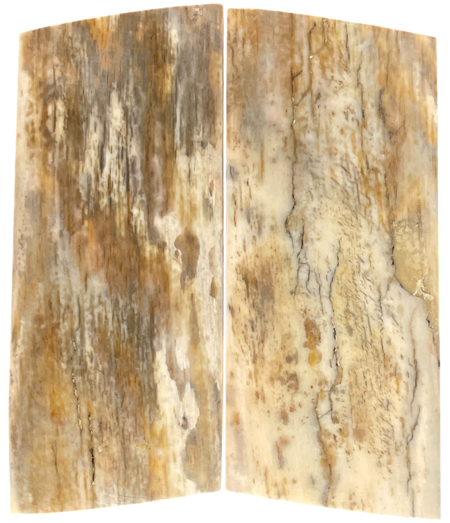 Mammoth Ivory Scales