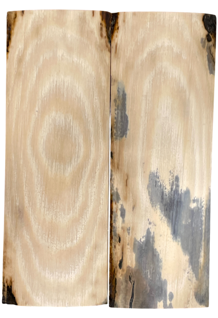 Mammoth Ivory Scales