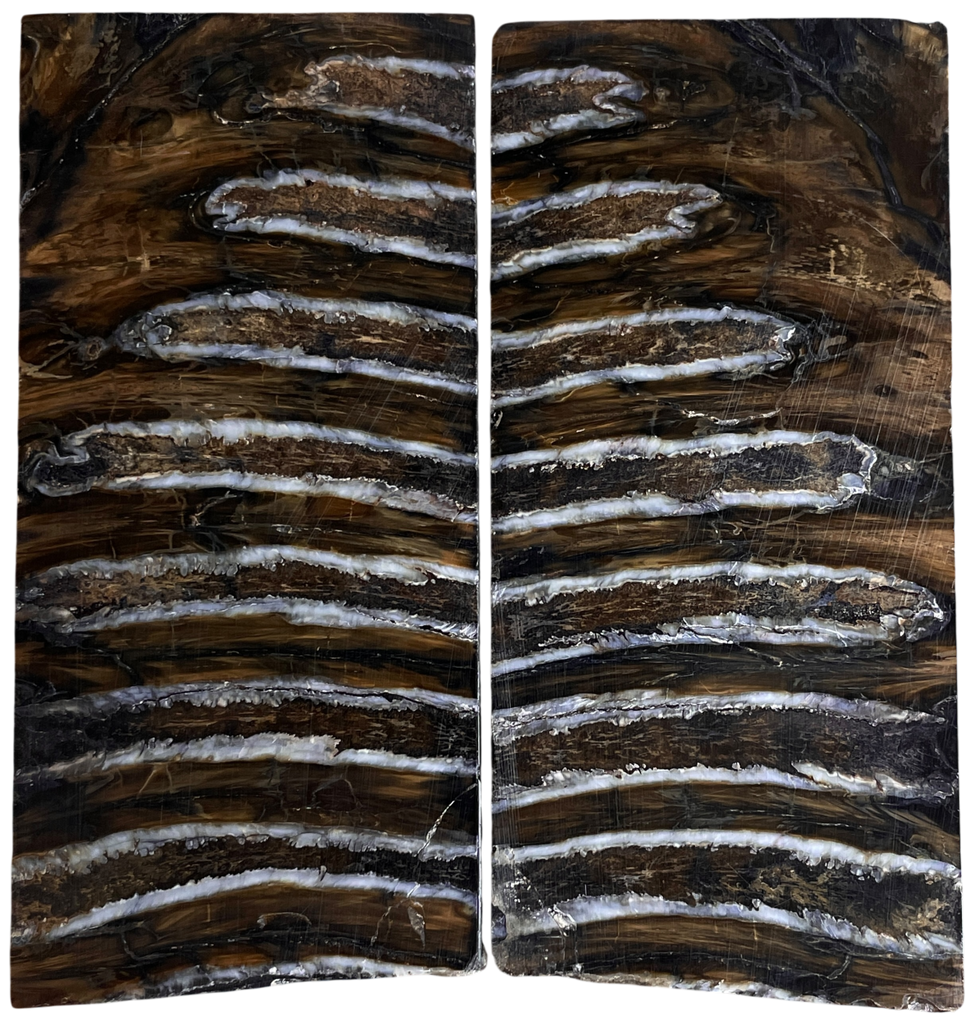 Mammoth Ivory Scales