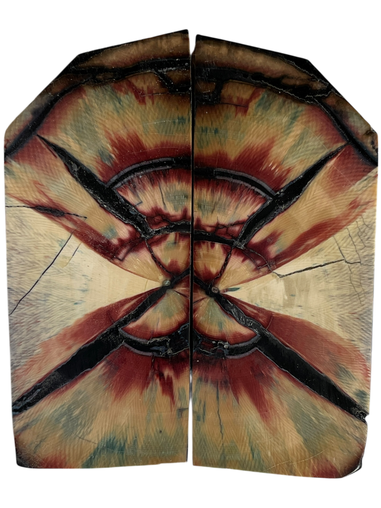 Mammoth Ivory Scales