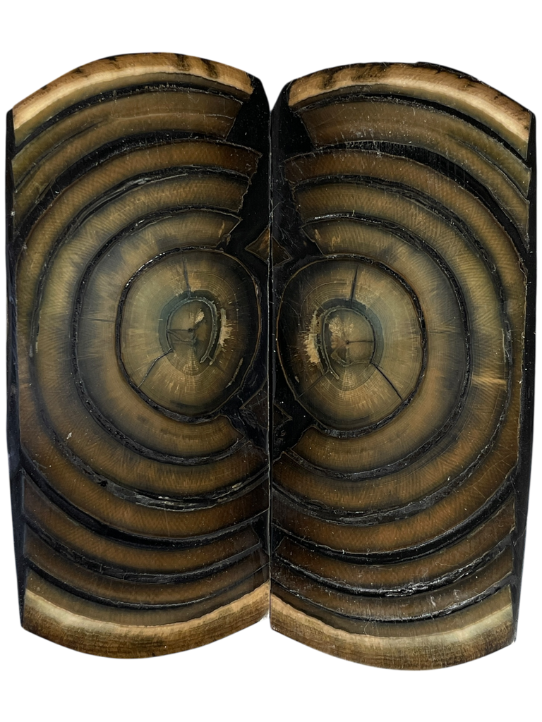 Mammoth Ivory Scales